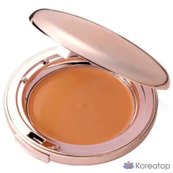 Кушон Prorance Essence Skin Cover (основной блок + сменный блок), оттенок 33 Brown Beige, 1 шт.