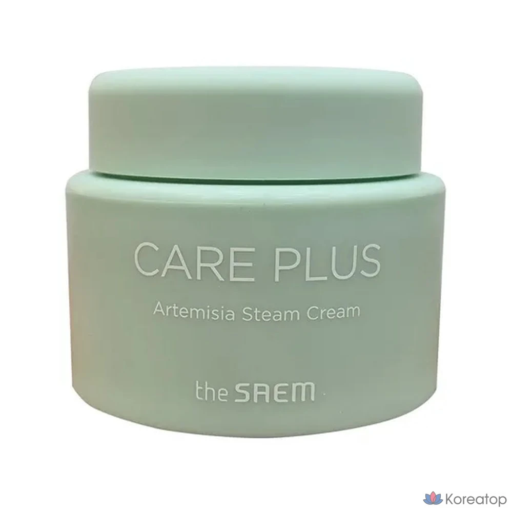 Паровой крем Care Plus с улучшенным составом и экстрактом полыни, 100 мл, США, 1 шт.