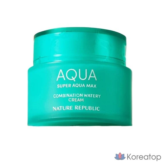 Увлажняющий крем для комбинированной кожи Nature Republic Super Aqua Max, 120 мл, 1 шт.
