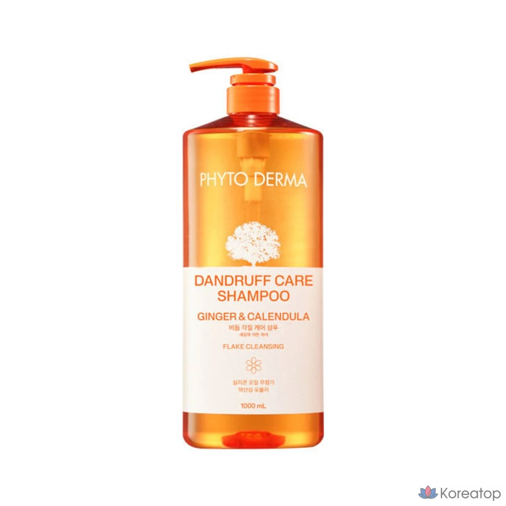 Шампунь Elastine Phytoderma Anti-Dandruff, 1 л, 1 шт.