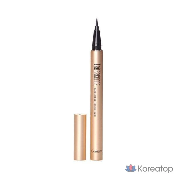 Подводка для глаз Ten Seconds Superproof Brush Liner, № 01, черная, 1 шт.
