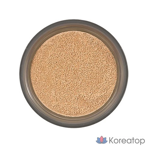 Сменный блок для чехла IOPE Air Cushion 5-го поколения, 15 г