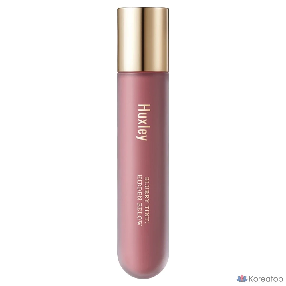 Тинт для губ Huxley Blurry Tint Hidden Below, оттенок 04 Pinch of Spice, 4.5 г, 1 шт.