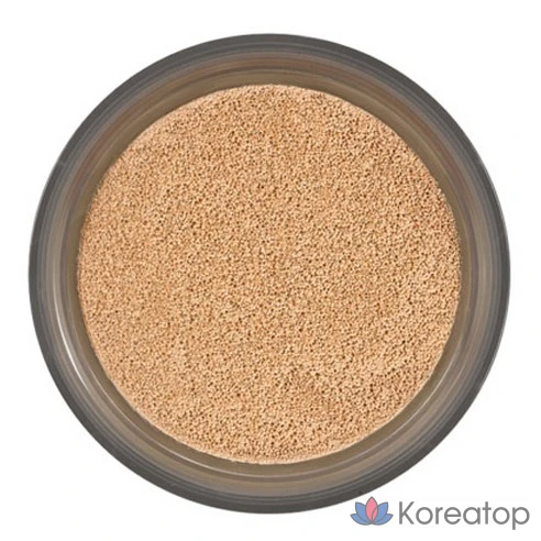 Заправка для тонального крема IOPE Air Cushion 15 г, оттенок 21N Vanilla