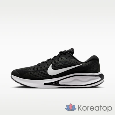 Кроссовки мужские Nike Journey Run