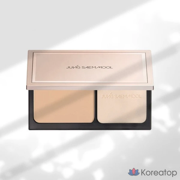 Пудровая основа Jungsaemmool Masterclass Powder Foundation, оттенок Y4 Sand, 1 шт.
