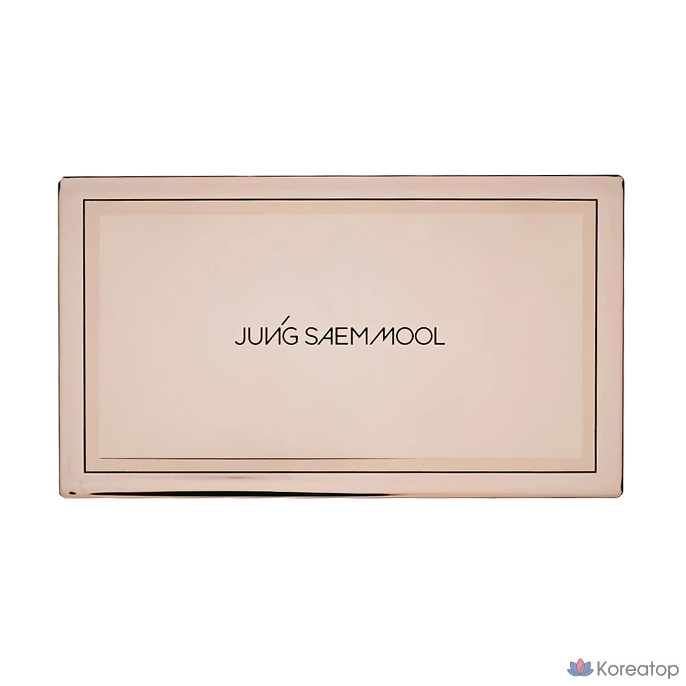 Пудровая тональная основа Jungsaemmool Masterclass Powder Foundation, оттенок N2 Vanilla, 1 шт.