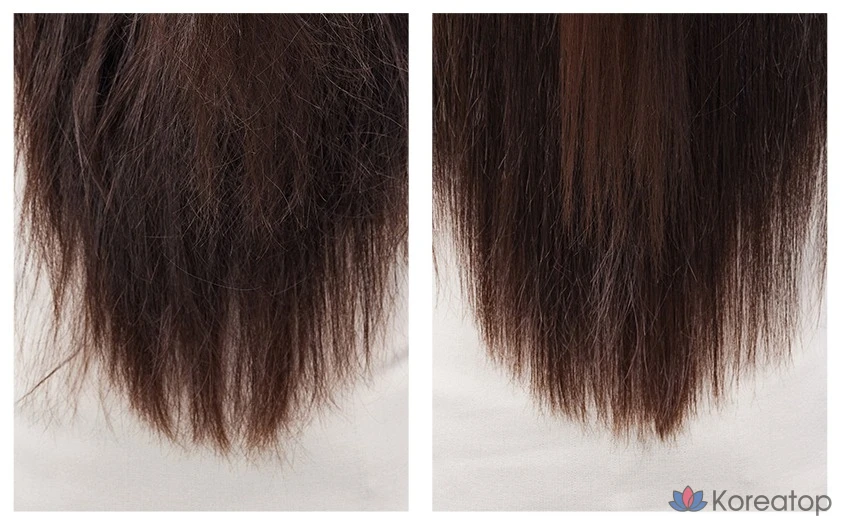 Эластиновый протеиновый комплекс 10000, 1 л, 1 шт., фото 5