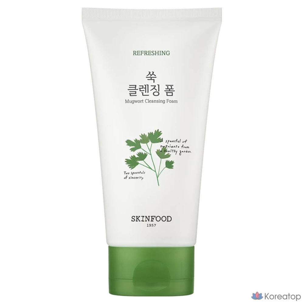 Очищающая пенка для лица Skinfood Veggie Garden с экстрактом полыни, 1 шт., 150 мл