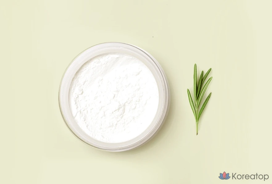 Травяная пудра Witch Factory Herb No-Sebum Powder, 6,5 г, 1 шт.