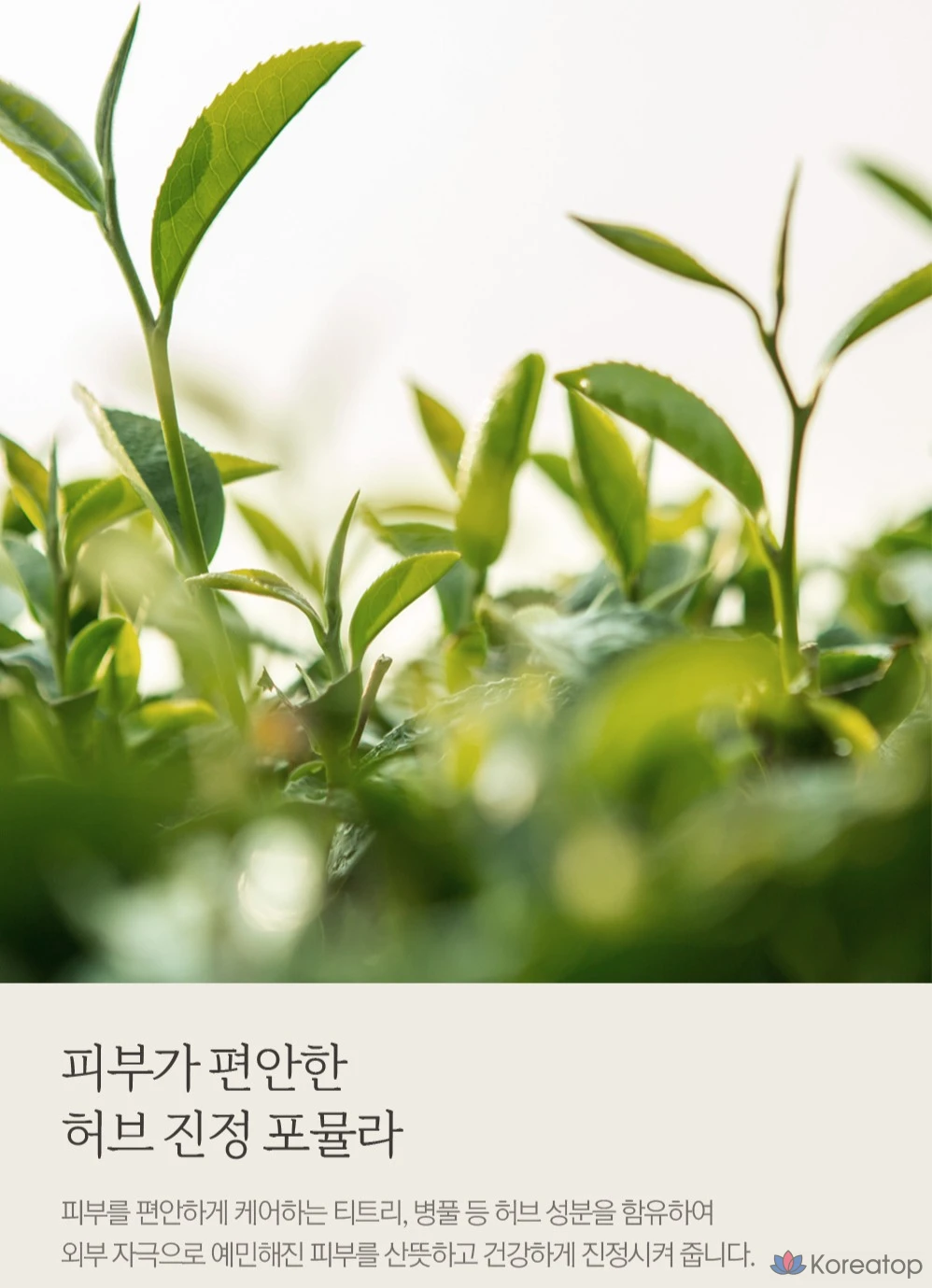 Гель для душа NARD с маслом чайного дерева и розмарина, 1 л, 1 шт., фото 6