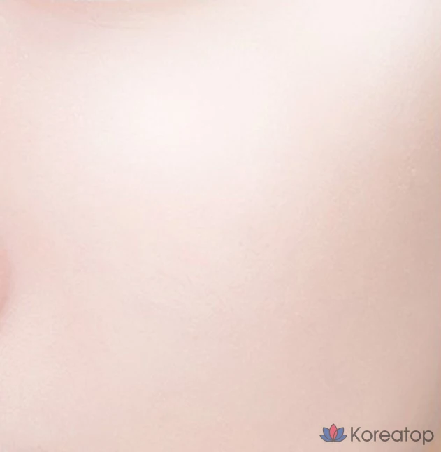 Тональный крем-кушон The Saem True Fit Fixer, 15 г, 21 овсяное волокно, 1 шт.