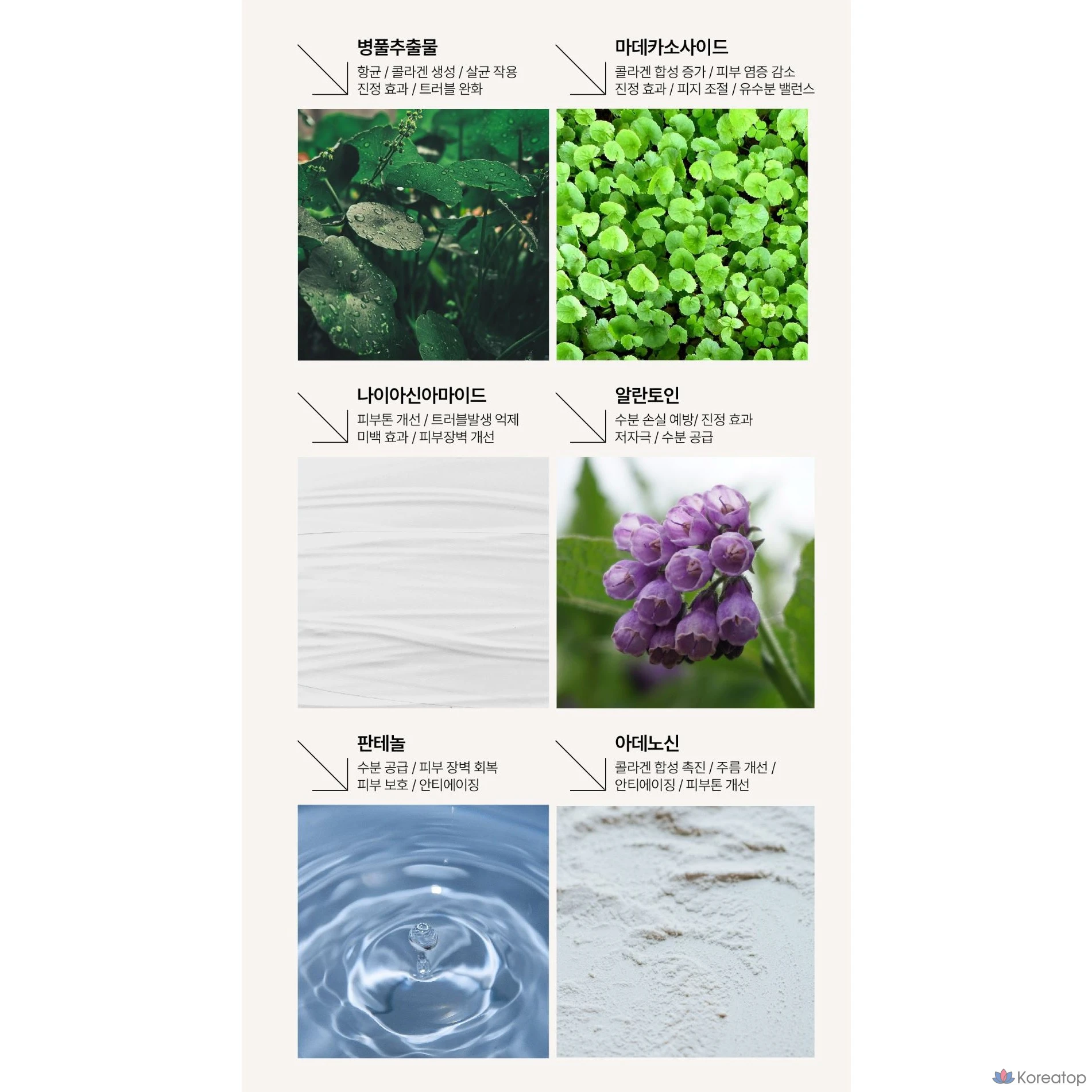 Увлажняющий, успокаивающий и восстанавливающий крем Coco &amp; Co. с экстрактом центеллы азиатской (10 000 ppm), 1 шт., 100 мл