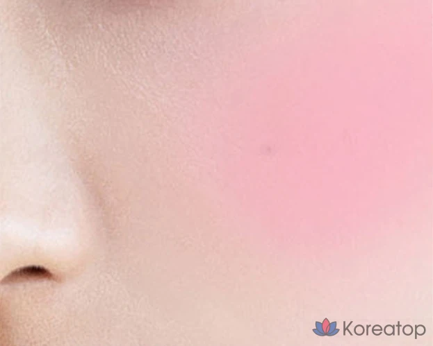 BBIA Last Blush, 4 г, 1 шт., 02 Камелия, фото 2