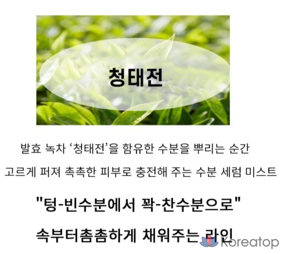 Увлажняющий спрей для лица Tony Moly с зеленым чаем, 1 шт., 100 мл