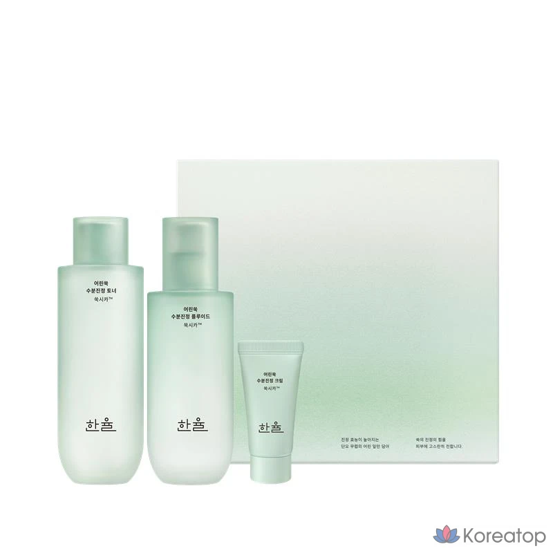 Набор HANYUL Young Artemisia Moisture Soothing из 2 предметов, 1 комплект