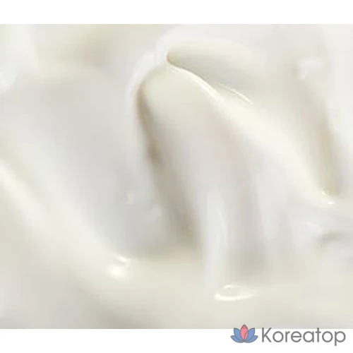 Эмульсия для лица Tony Moly Wonder Ceramide Mochi, 300 мл, 1 шт.