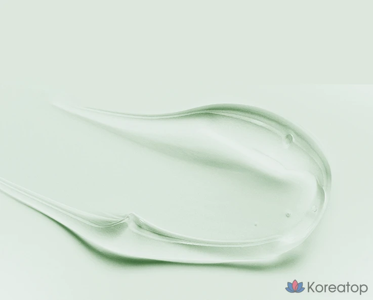 Шампунь Elastine Phytoderma для глубокого очищения кожи головы, с мягкой кислотностью, ароматом зеленых трав, 1 л, 1 шт.