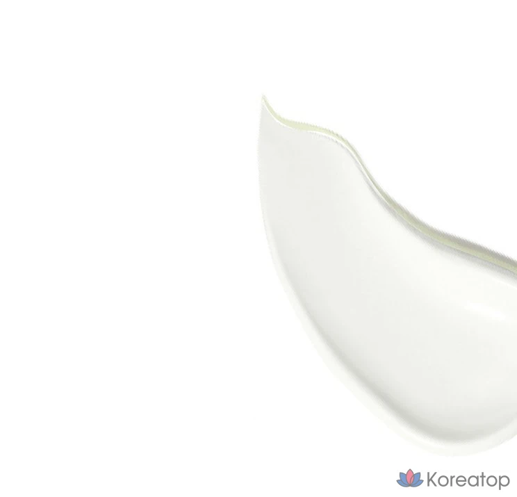 Солнцезащитный крем IOPE UV Shield Sun Protector XP SPF50+ PA++++, 60 мл, 1 шт.