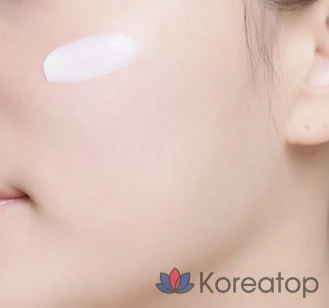 Солнцезащитный крем Dewytree Urban Shade Derma Panthenol 5 Moisture Barrier Sunscreen SPF50+ PA++++, 40 мл, 1 шт.