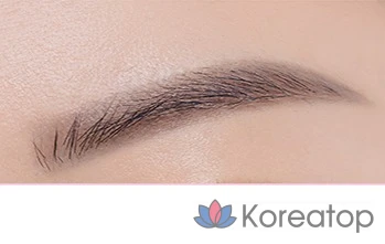 Автоматический карандаш для бровей Etude House Natural Brow Auto Pencil, 0,18 г, 2 сменных стержня, № 2, цвет «каменно-серый», 1 шт.
