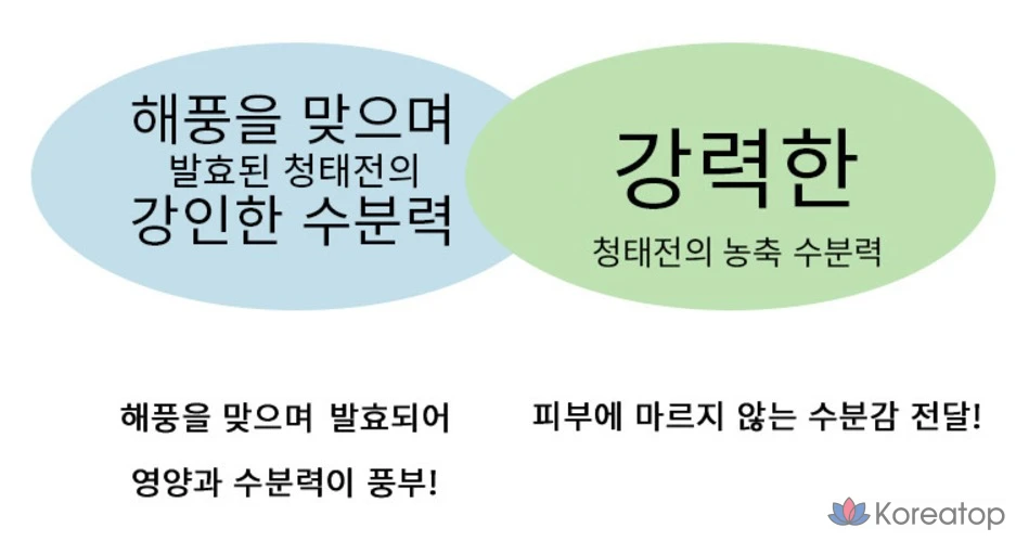 Увлажняющий спрей для лица Tony Moly с зеленым чаем, 1 шт., 100 мл