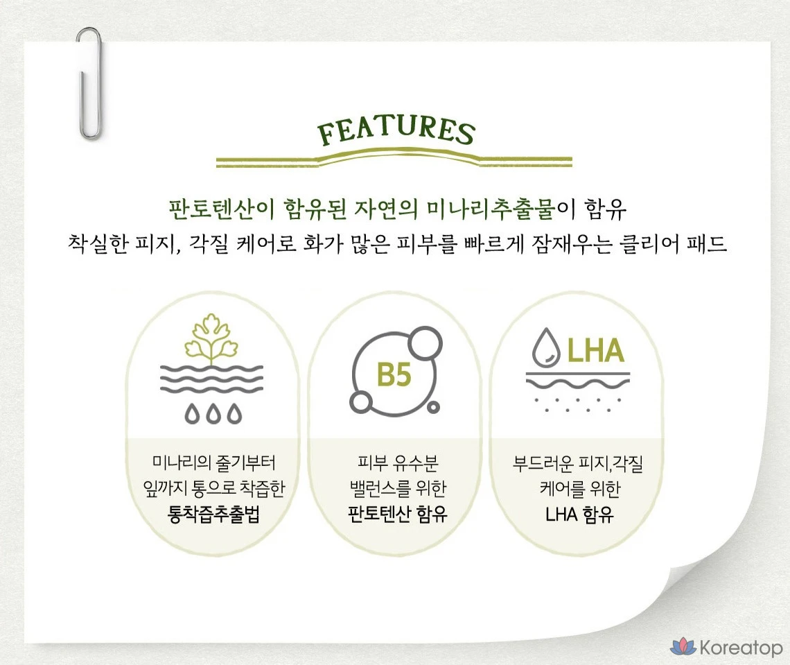 Набор для планирования Skinfood Pantothenic Water Parsley Clear Pad Planning Set, 250 г, 60 листов, 1 шт.