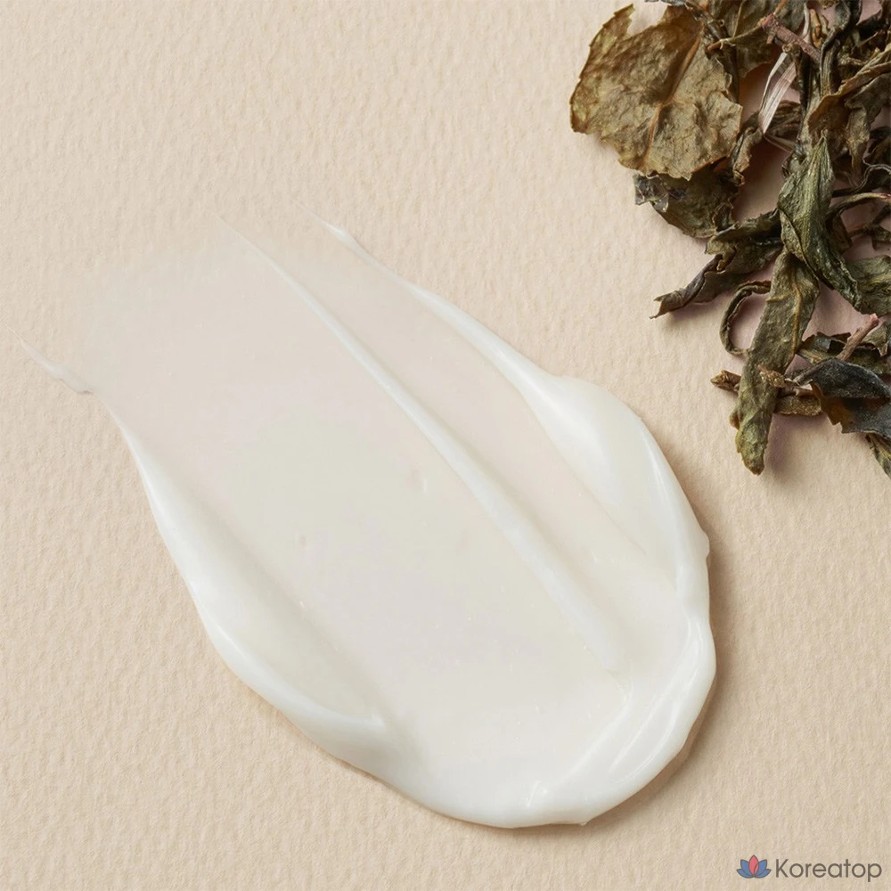 Очищающий сок, уксус, комбуча, веганский крем, 1 шт., 75 мл