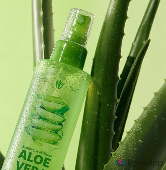 Успокаивающий гель-спрей Nature Republic с алоэ вера, 155 мл, 1 шт.