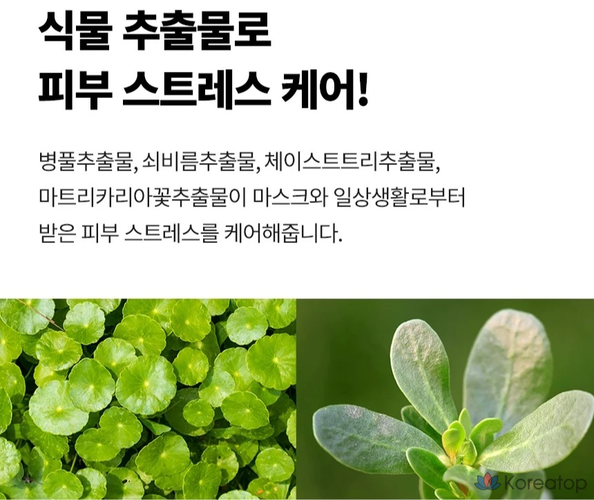 Увлажняющий тоник с гиалуроновой кислотой Tony Moly Wonder, 500 мл, 1 шт.