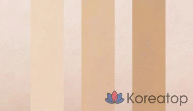 Консилер The Saem Studio, 5,5 г, 01, 1 шт., фото 2