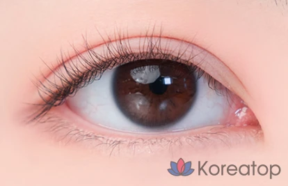 Палетка теней для век ROM&ND Better Than Eyes, W03, сушеная клубника, 1 шт., фото 4