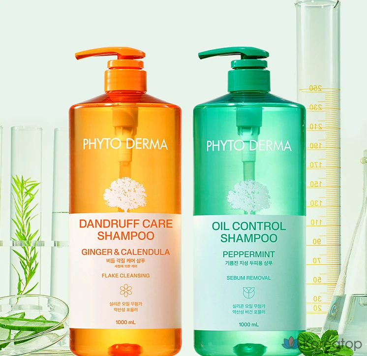 Шампунь Elastine Phytoderma для глубокого очищения кожи головы, с мягкой кислотностью, ароматом зеленых трав, 1 л, 1 шт.