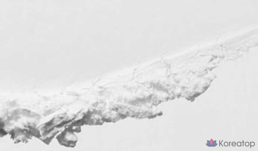 Pia O Powder Pact 9 г, 01 Pure White, 1 шт., фото 3