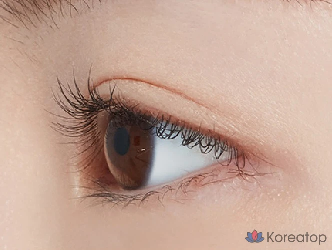 Etude New Doctor Фиксатор туши для ресниц 6 г, 01 натуральный, 1 шт., фото 6