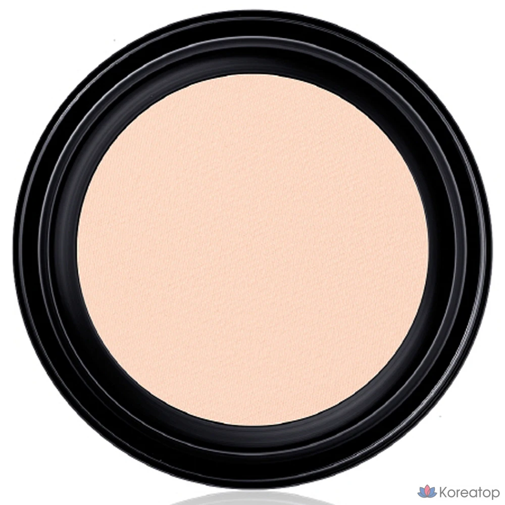 Сменный блок тонального крема Sooryehan The Black Tension Fit Mesh Cushion Foundation, 13 г, № 21, 1 шт.