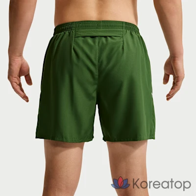 Шорты мужские Nike Miler Dri-FIT 5 Inch Brief-Lined Running Shorts, фото 3