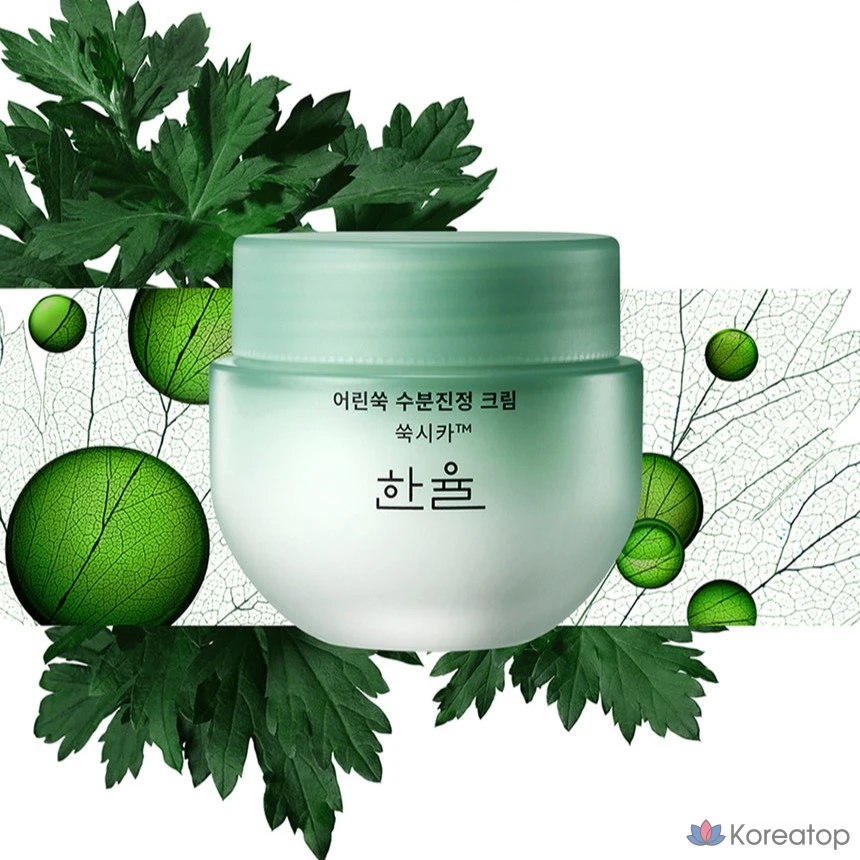 Увлажняющий успокаивающий крем HANYUL Young Artemisia, 55 мл, 1 шт.