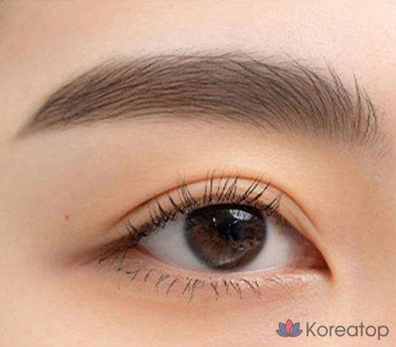 Карандаш для бровей ROM&ND Hanol Flat Eyebrow Auto Pencil, 0.17g, C1 Classic Gray, 1 шт., фото 3