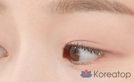 Тени для век Dinto Blurfinish, 704, Луиза Мэй Олкотт, 1 шт., фото 9