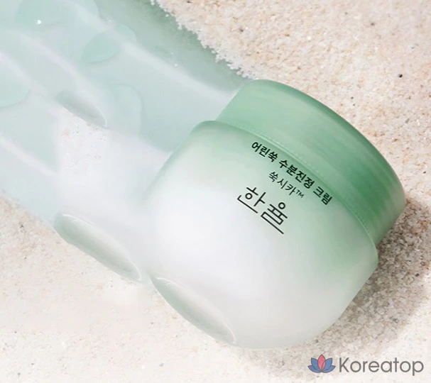 Увлажняющий успокаивающий крем HANYUL Young Artemisia, 55 мл, 1 шт.