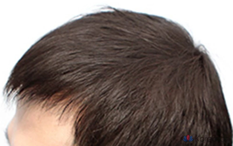 Dashu Daily Easy Cover Hair Cushion, 26 г, натуральный коричневый, 1 шт., фото 5