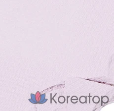 Румяна Etude House Heart Pop Duo Blusher 7.5g, оттенок Envy Pale Paleish Koi, 1 шт.