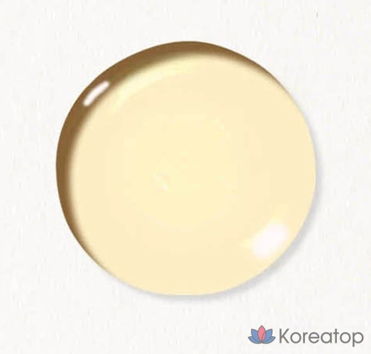 Шампунь Ryo Rootzen для мужчин от выпадения волос, аромат чайного дерева и эвкалипта, 515 мл, 1 шт.