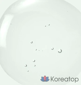 Матирующий спрей Medi-Peel Dutch Tea, 100 мл, 1 шт.