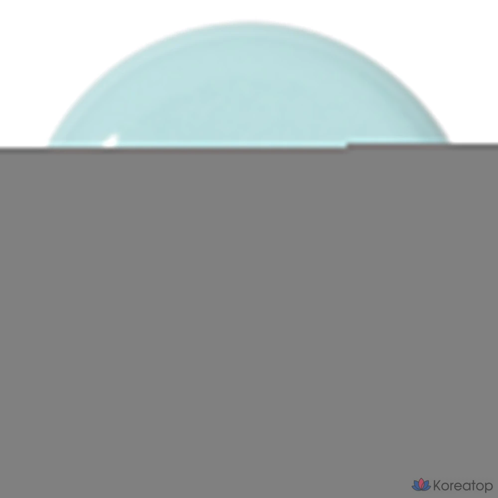 Innisfree No-Sebum Powder Cushion 14 г, имбирь (23N), 1 шт.