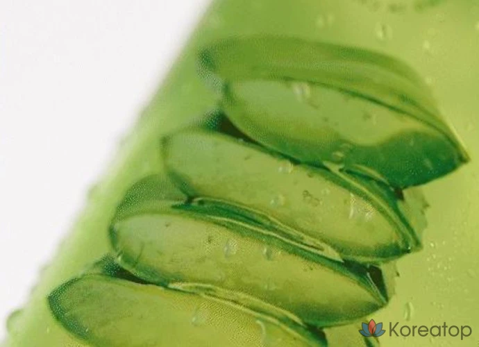 Успокаивающий гель-спрей Nature Republic с алоэ вера, 155 мл, 1 шт.