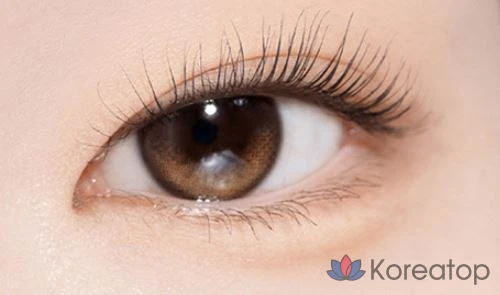 Палетка теней ABOUT TONE Return to Basic, 9 г, 01 Classic, 1 шт., фото 2