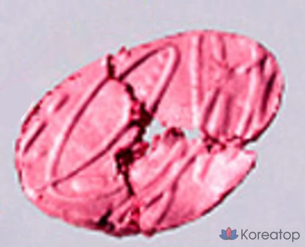 Хайлайтер Pu Glitz Stone 5,9 г, HL01 Fever Garnet, 1 шт.