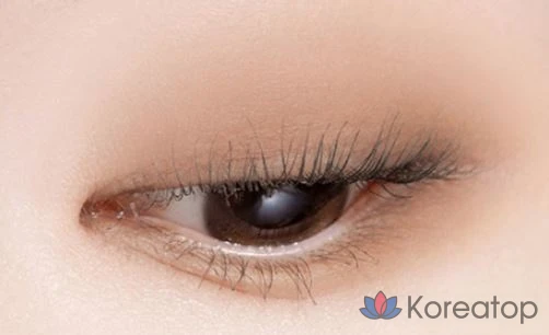 Палетка теней ABOUT TONE Return to Basic, 9 г, 01 Classic, 1 шт., фото 3